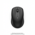 HP 250 Dual Wireless Mouse Canada - French Bilingual
