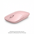 HP Z3700 TUP G2 WRLS Mouse Canada - French Bilingual